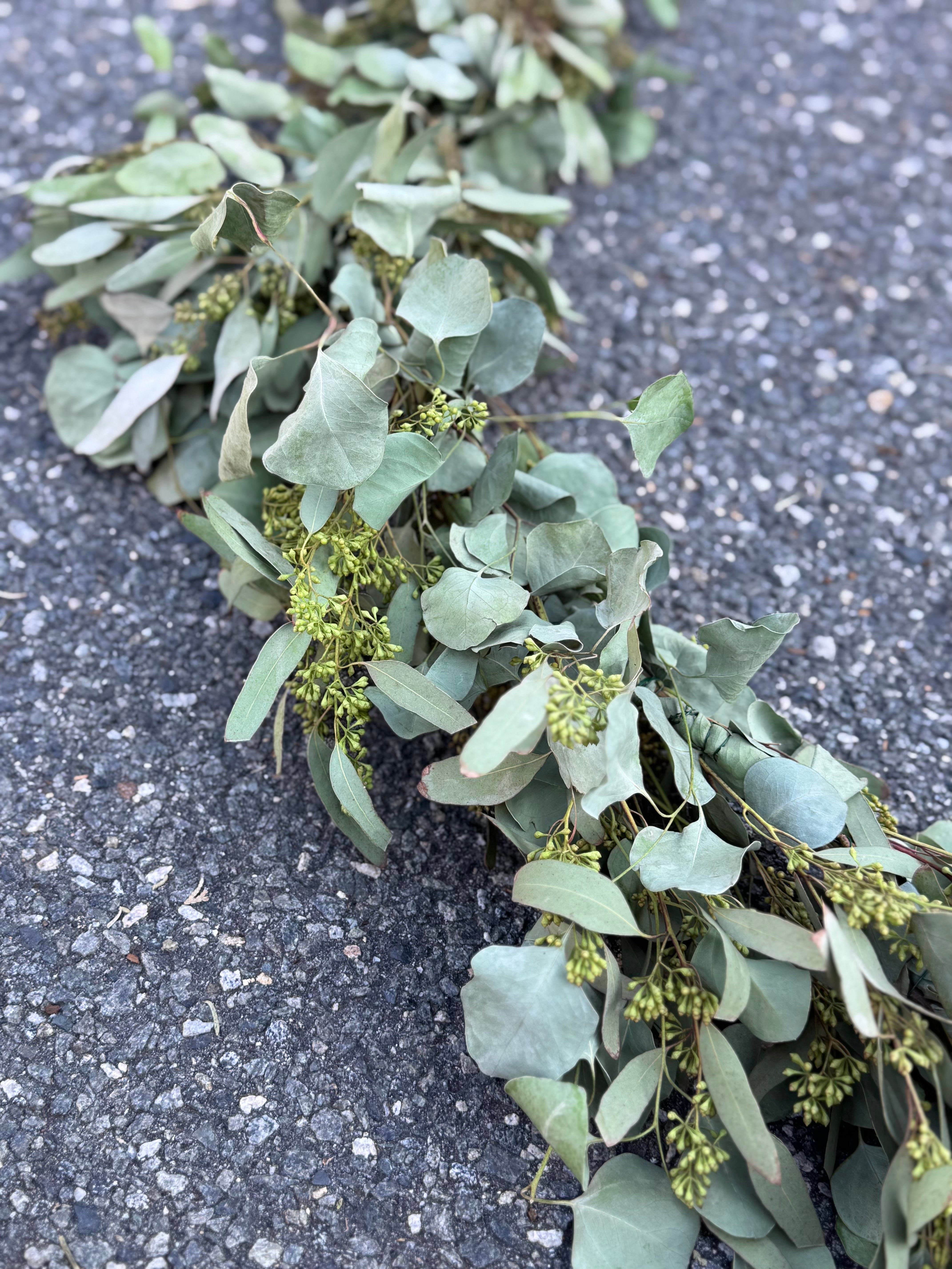 Seeded Eucalyptus and Silver Dollar Eucalyptus Garland - 8ft