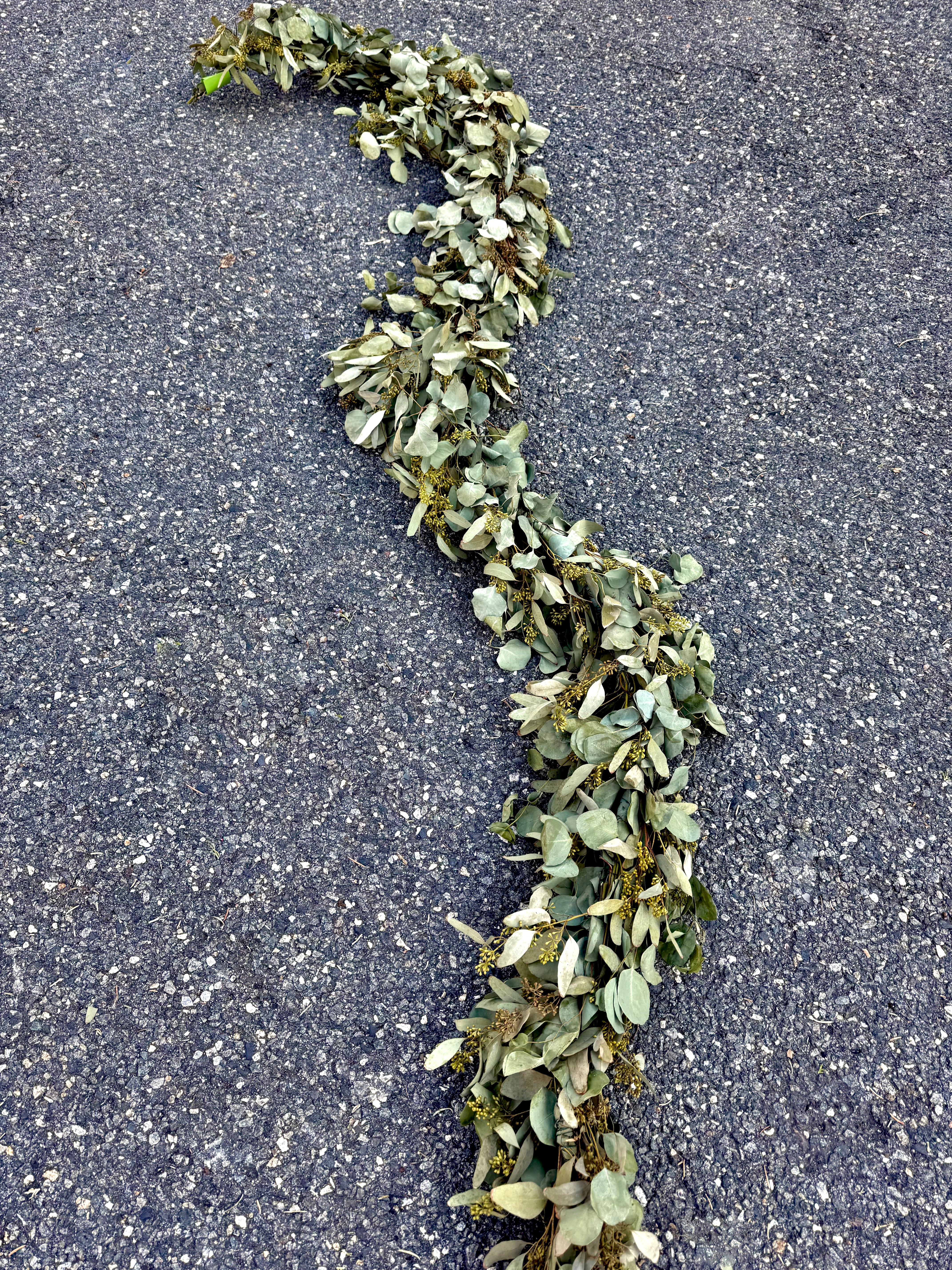 Seeded Eucalyptus and Silver Dollar Eucalyptus Garland - 8ft