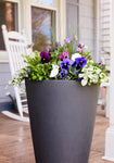 Vallarella Tall Planter VERY Imperfectly Perfect dark grey (used)