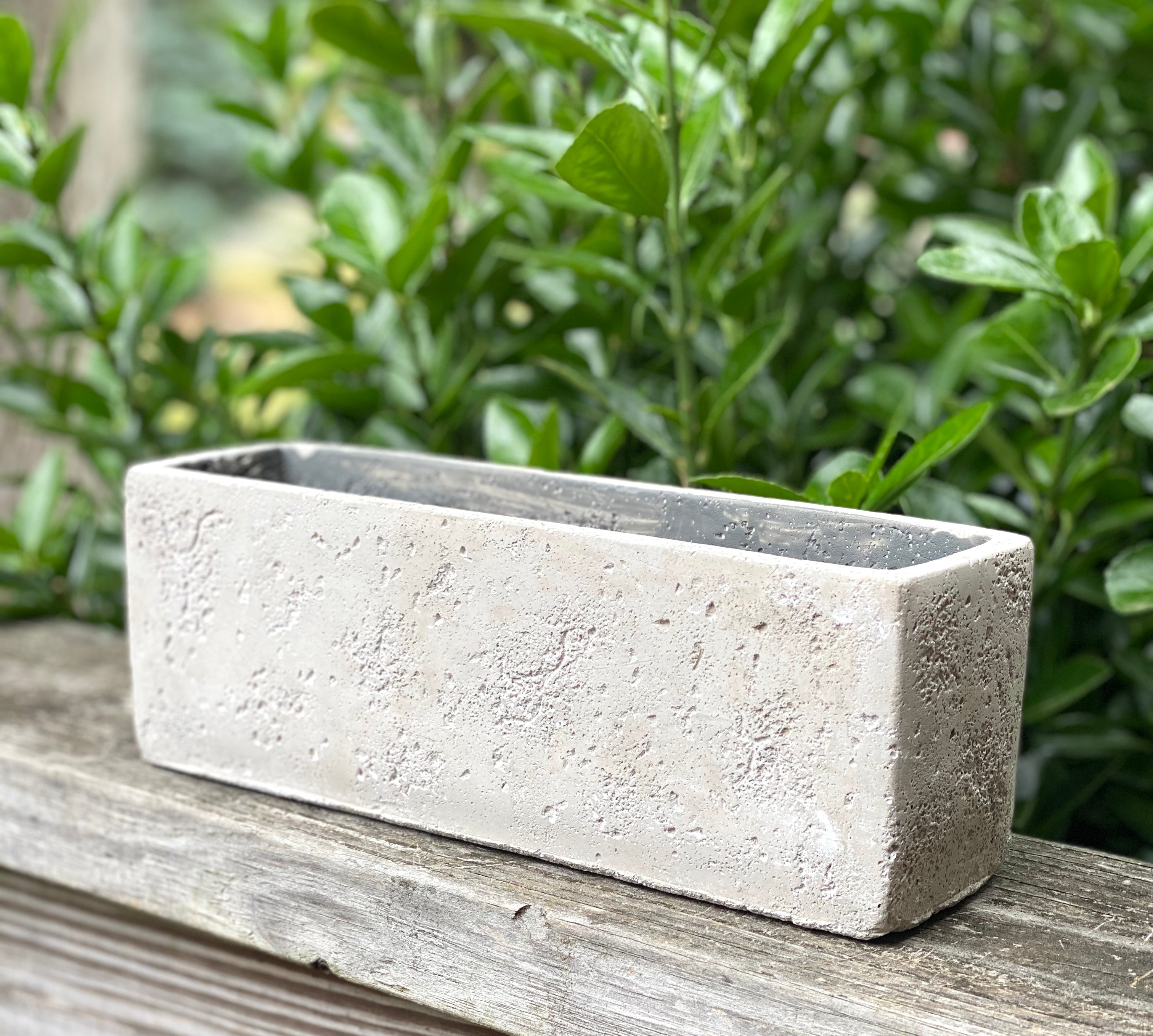 Cement Skinny *50% OFF*