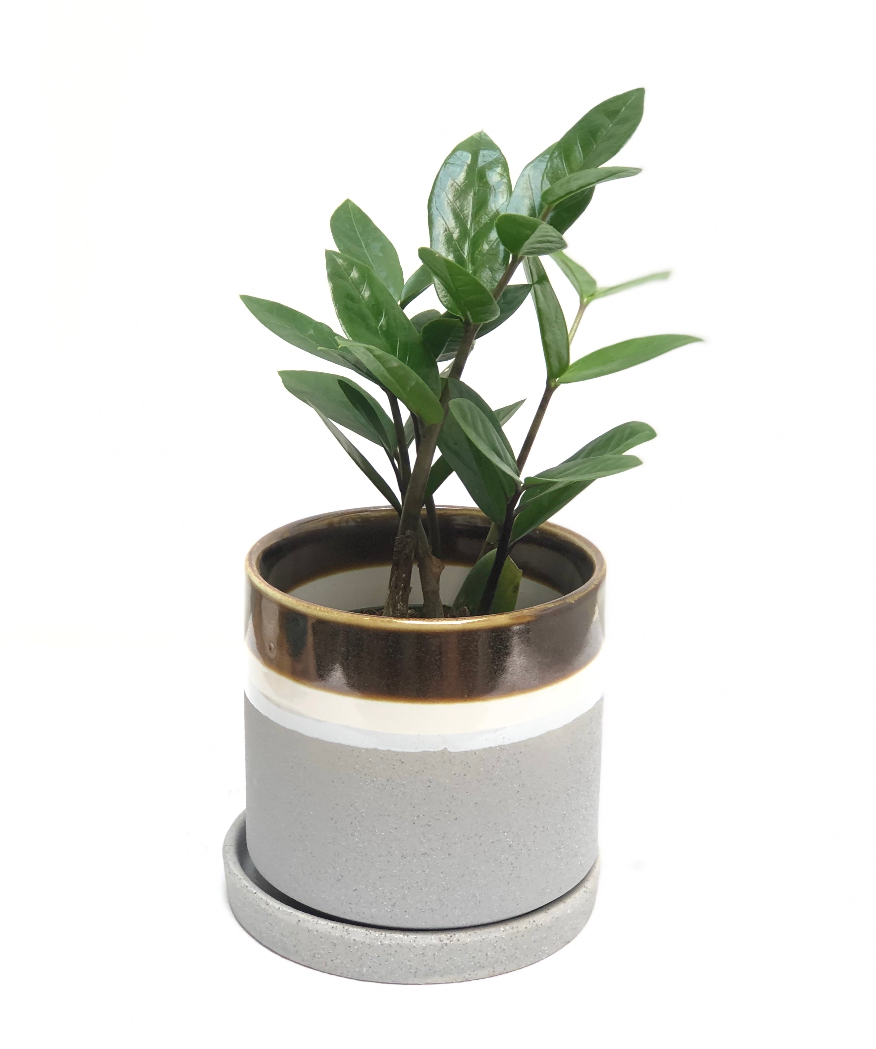 Holiday Large Ceramic Layers