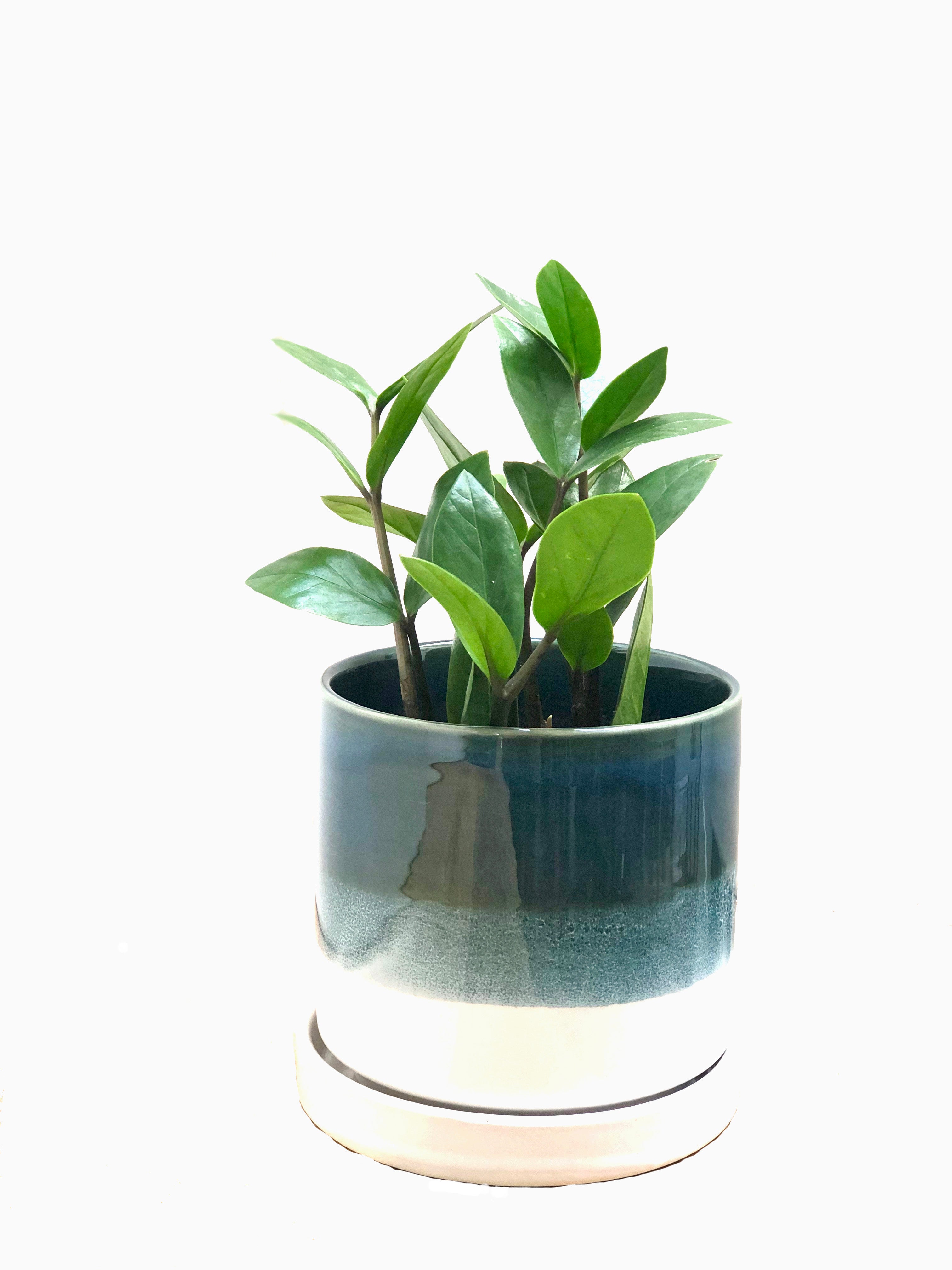 Holiday Large Ceramic Layers