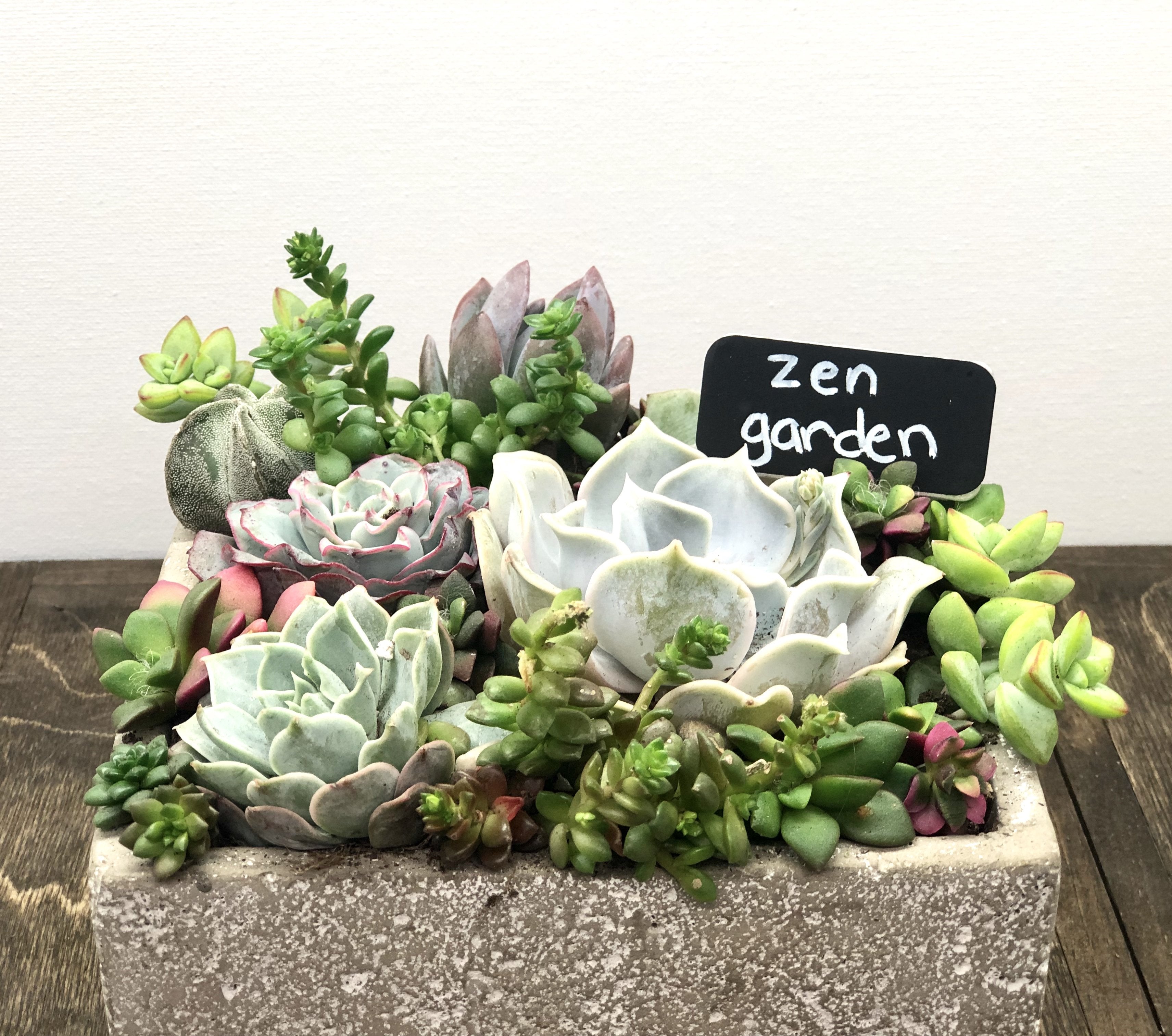 Cement Square Large *50% OFF*