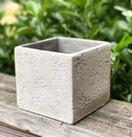 Cement Square Medium *50% OFF*