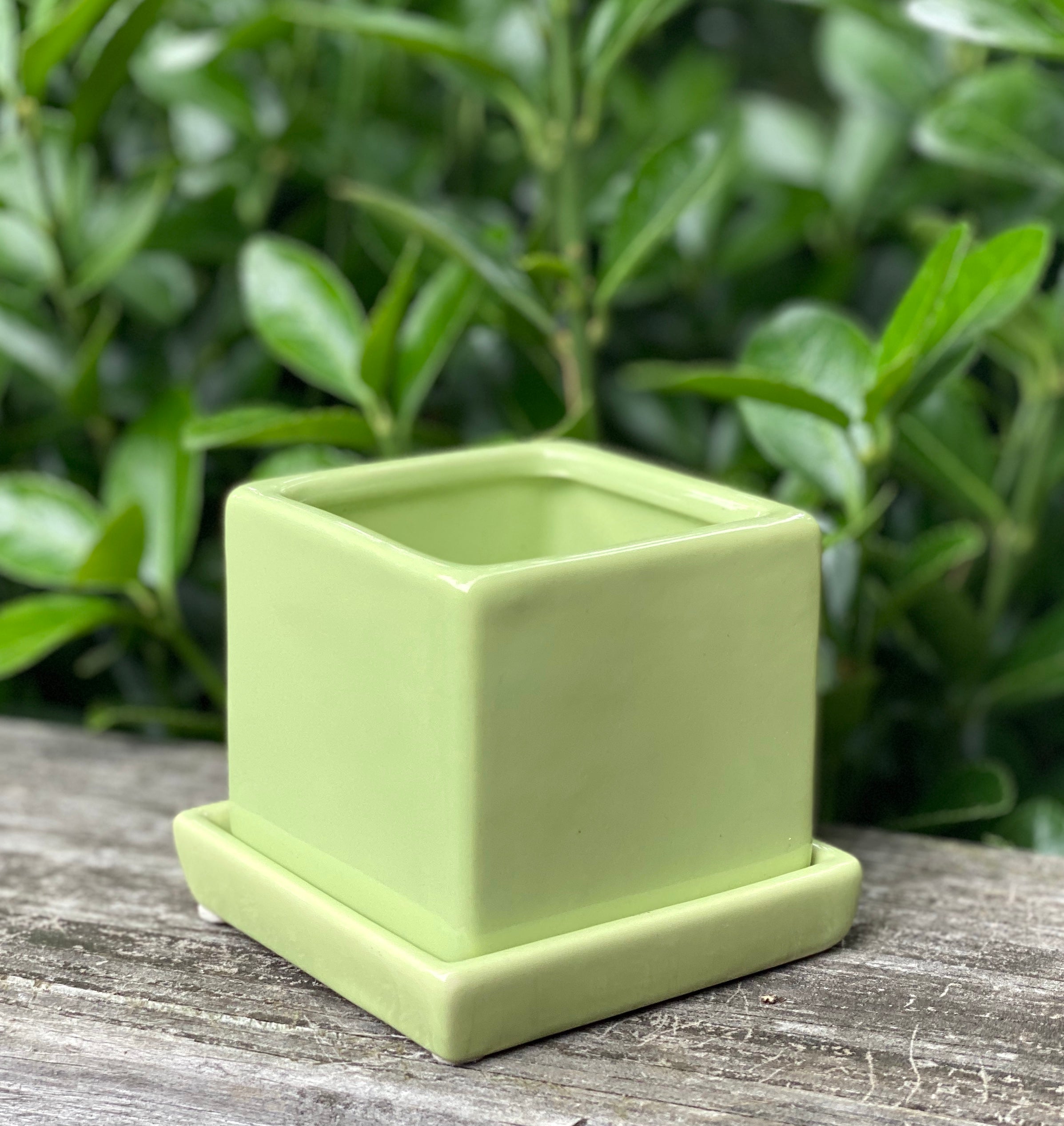 Small Square Light Green *50% OFF*