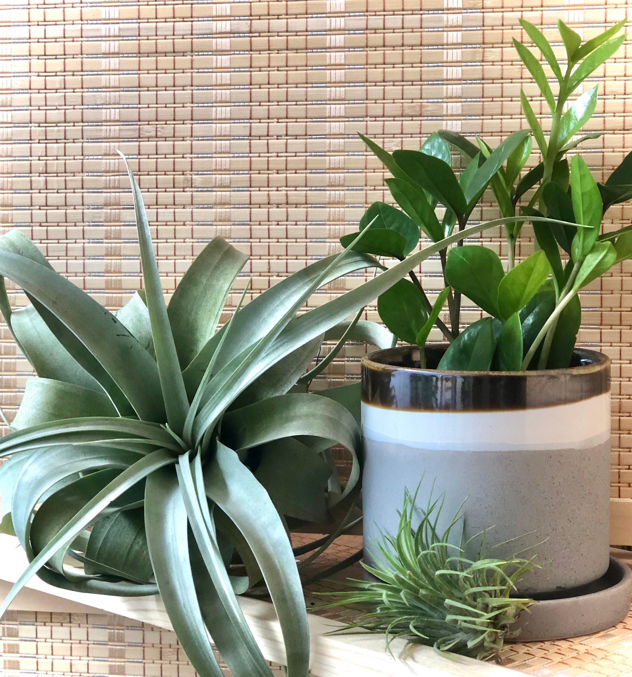 Holiday Large Ceramic Layers