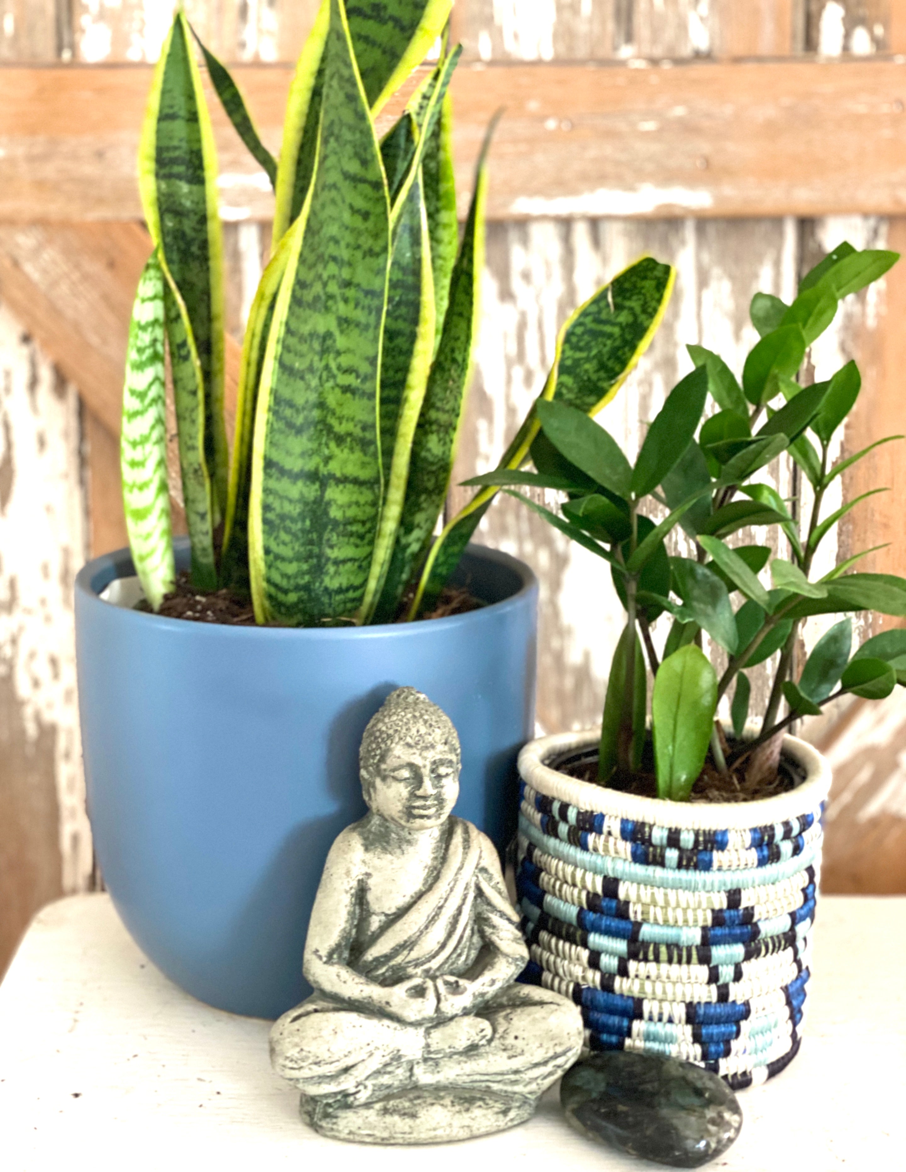 Holiday Modern Egg Planter