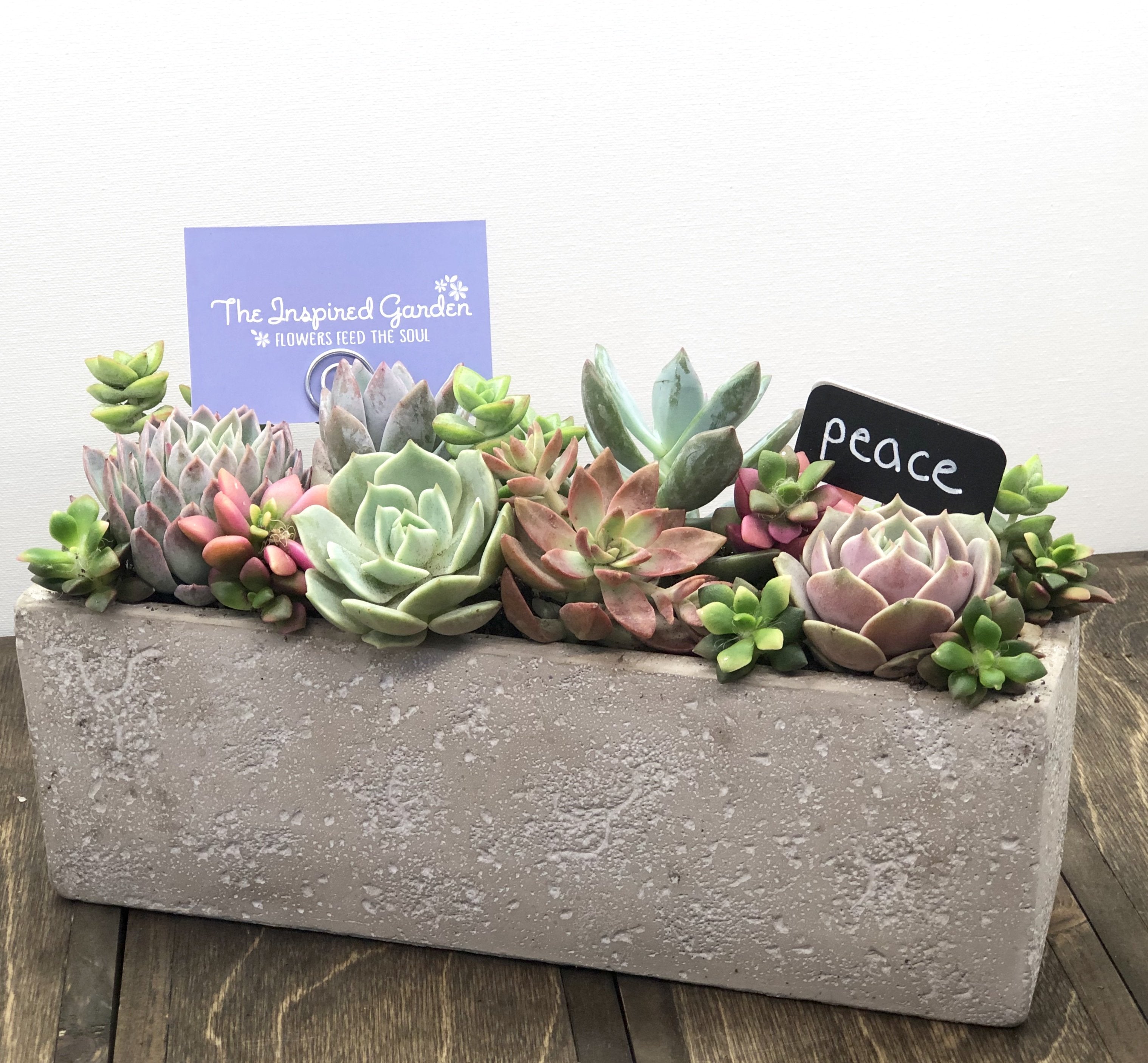 Cement Skinny *50% OFF*