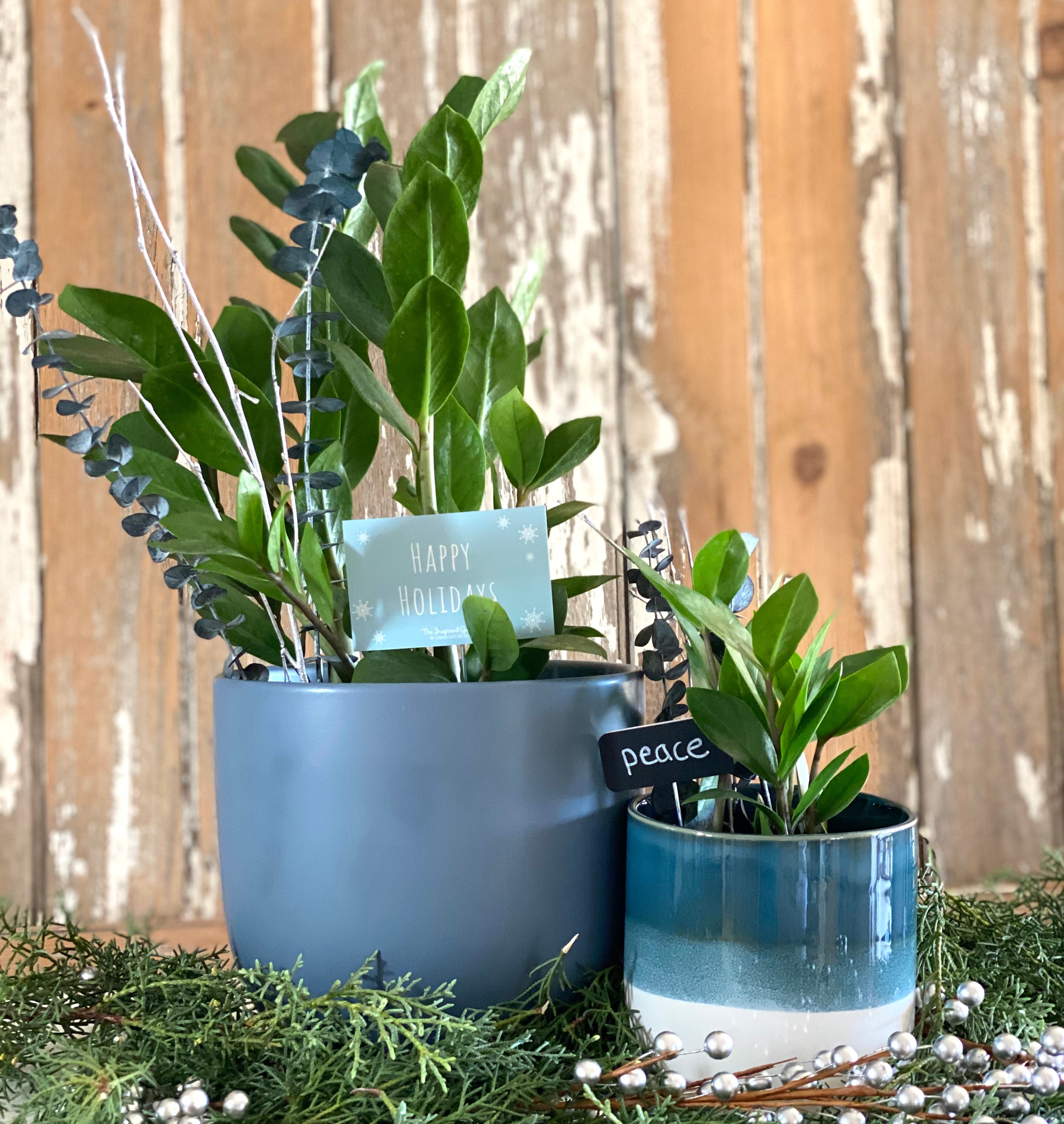 Holiday Modern Egg Planter