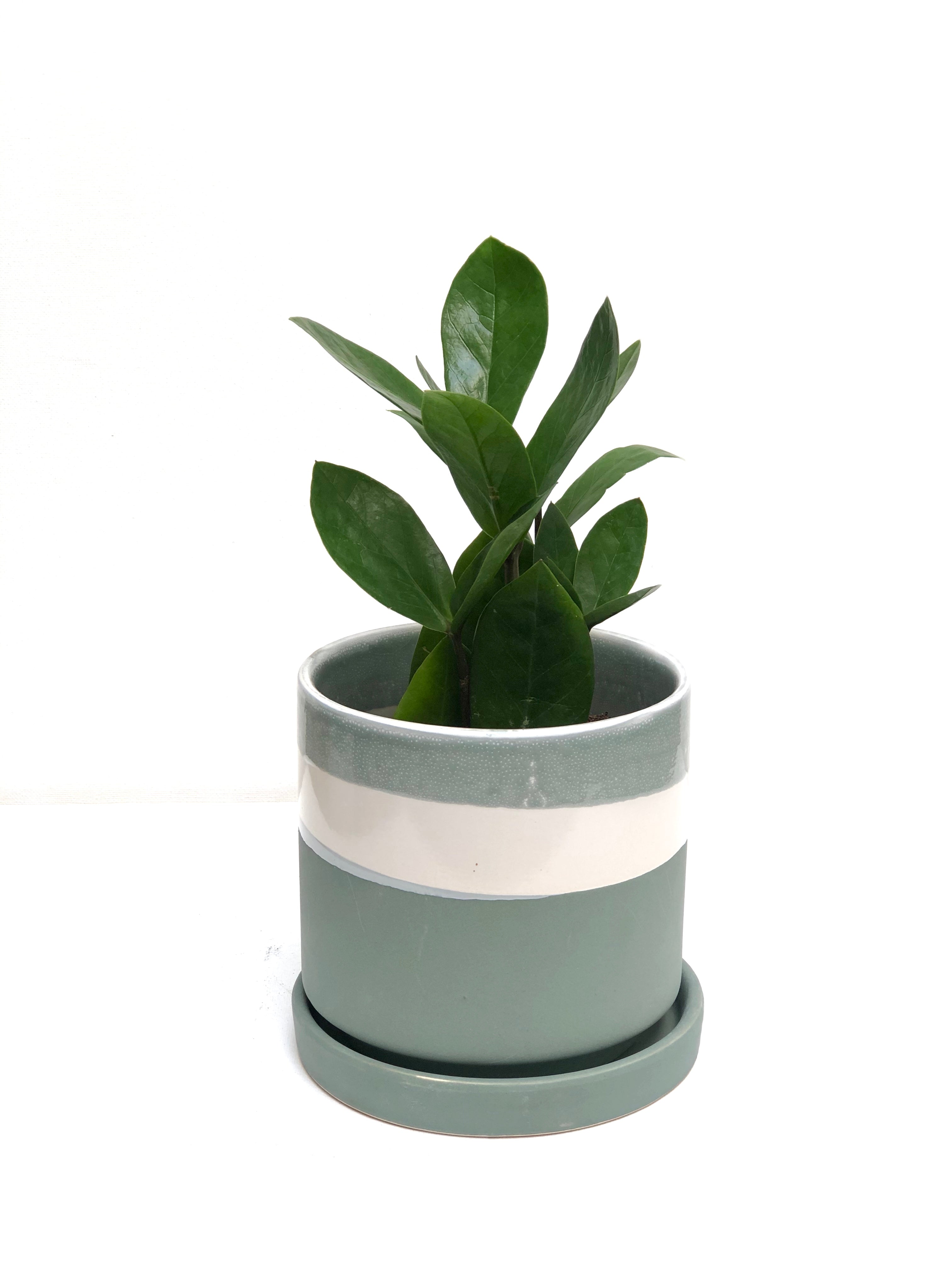 Holiday Large Ceramic Layers