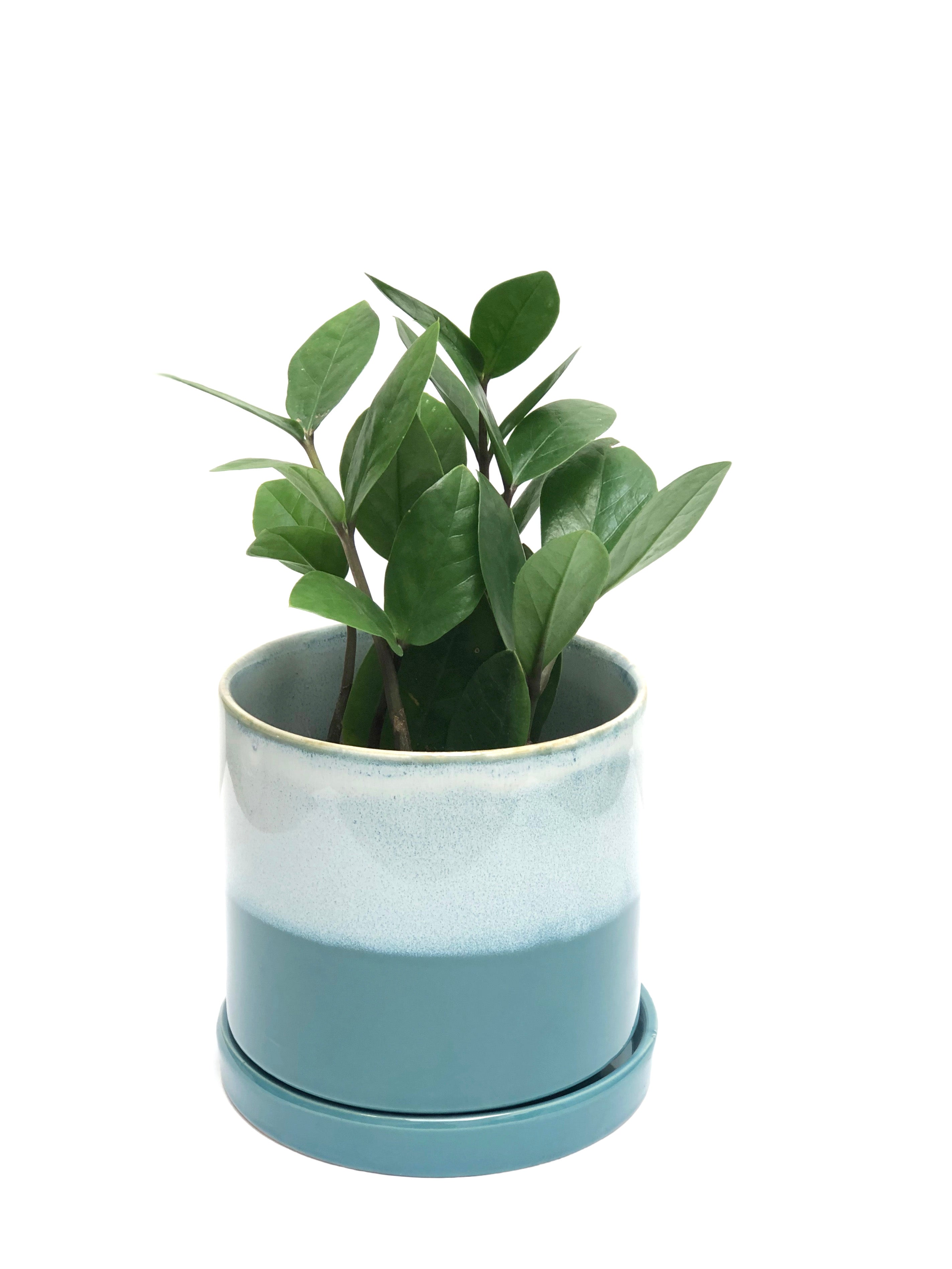 Holiday Large Ceramic Layers