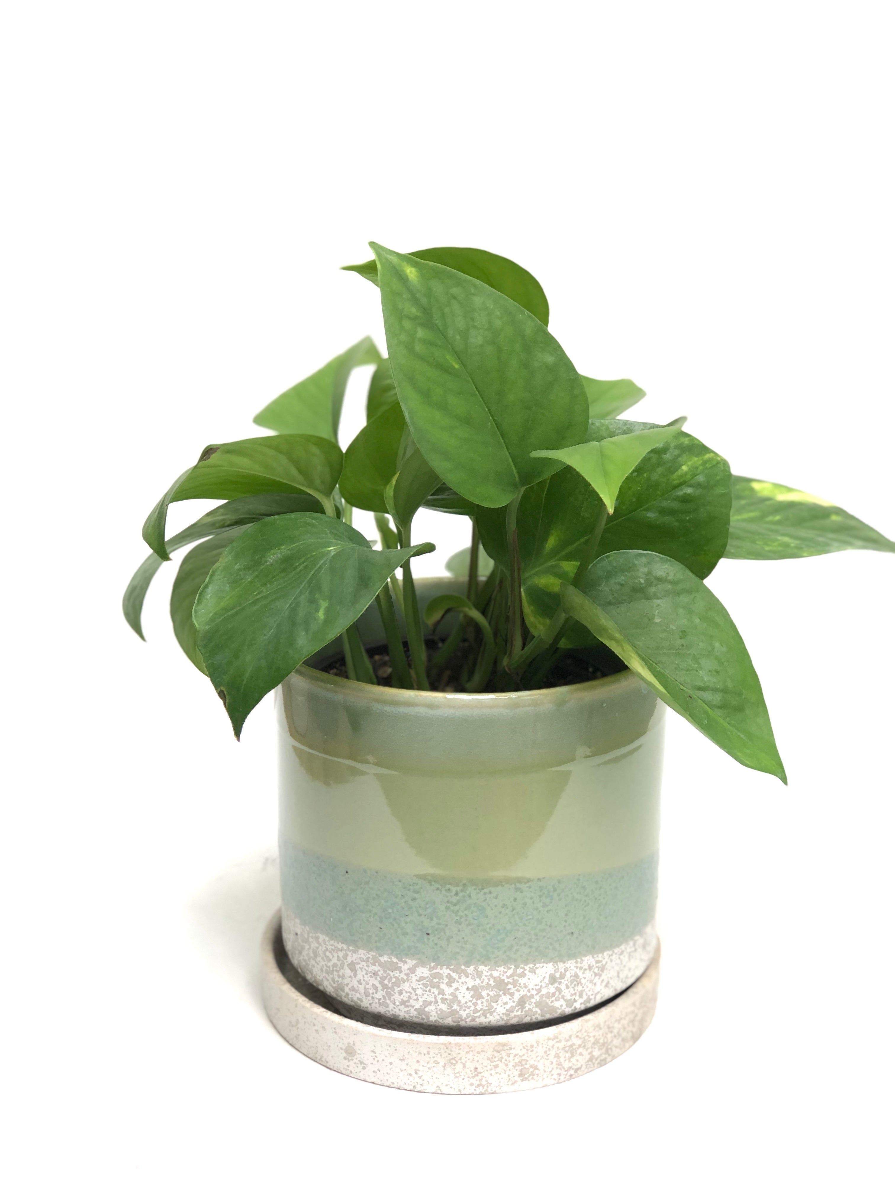 Holiday Large Ceramic Layers