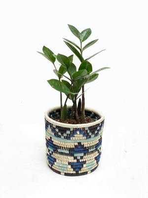 African Planter Small